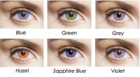 FreshLook Colors (фрешлук колорс)